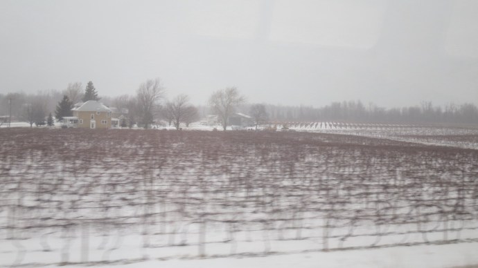 Blurry vineyards.  My bad.